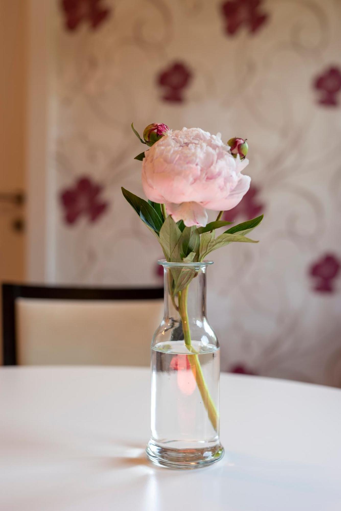 Tauplitzalm Hotel Alpen Arnika מראה חיצוני תמונה
