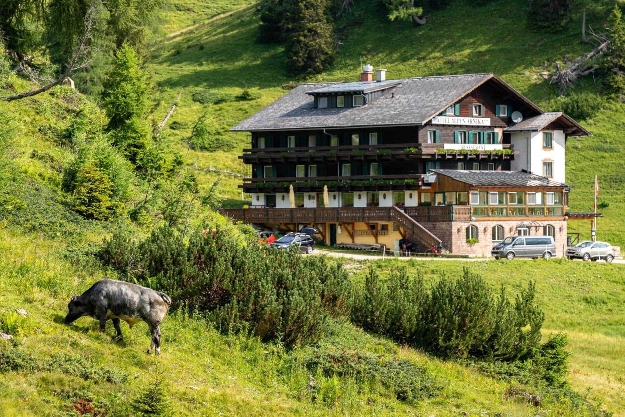 Tauplitzalm Hotel Alpen Arnika מראה חיצוני תמונה